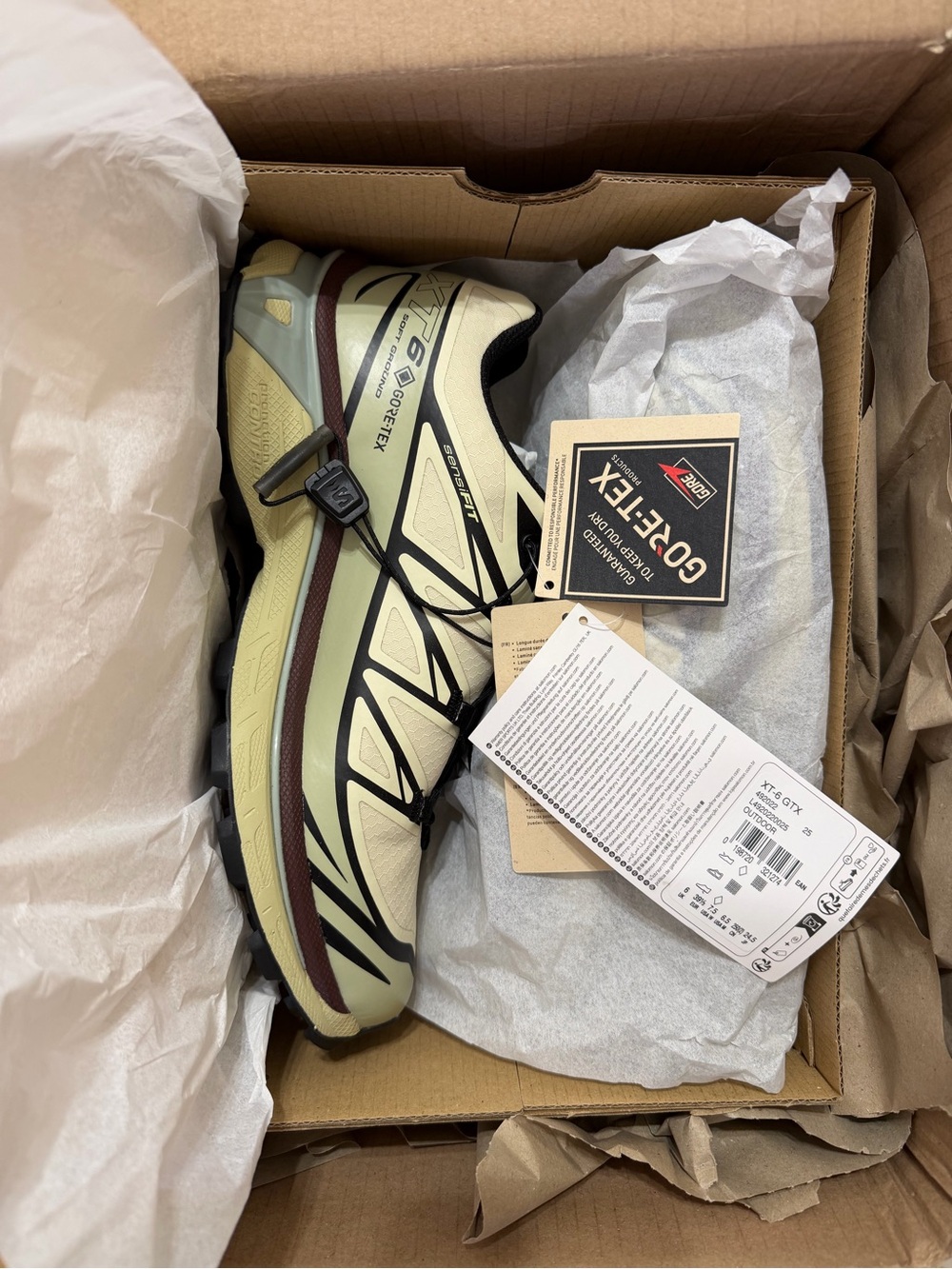Salomon Aspargus Green / Tea / Bitter Chocolate XT-6 Gore-tex Unisex Sneakers - Picture 6 of 14